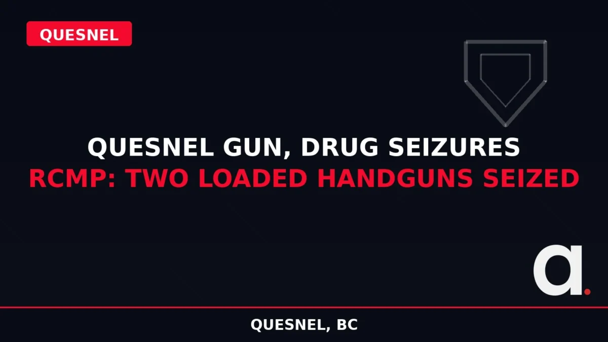 Designed graphic: loaded guns seized in Quesnel