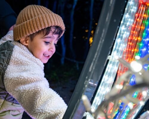 Child enjoying the lights at Bear Creek Lights in Surrey