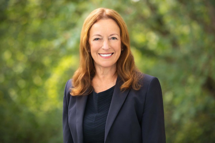 Linda Annis, Surrey mayoral candidate
