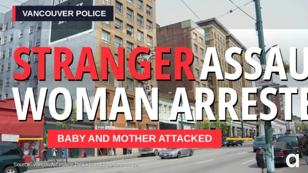 VPD stranger assaults arrest