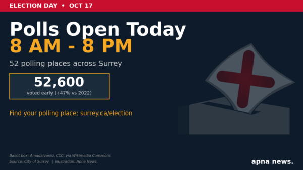 Surrey polls open 8am to 8pm today on General Voting Day with CC0 ballot box graphic