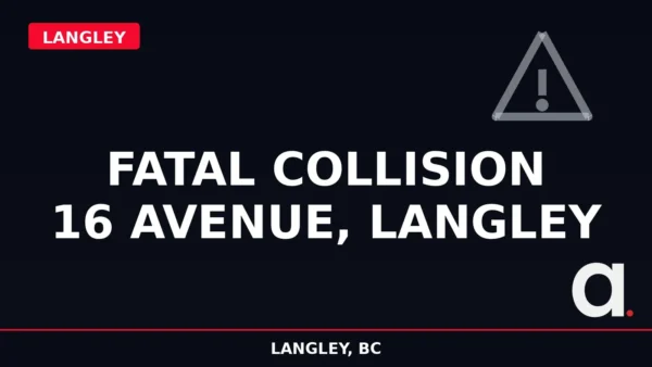 Designed graphic: fatal collision on 16 Avenue