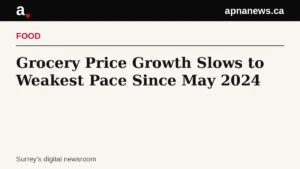 Headline card: Grocery Price Growth Slows to Weakest Pace Since May 2024 - Graphic: Apna News