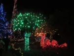 holiday-lights-trail-night