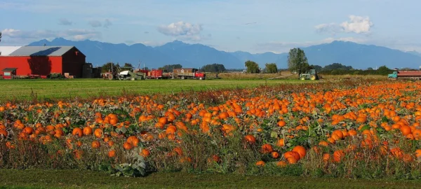 ladner-delta-bc