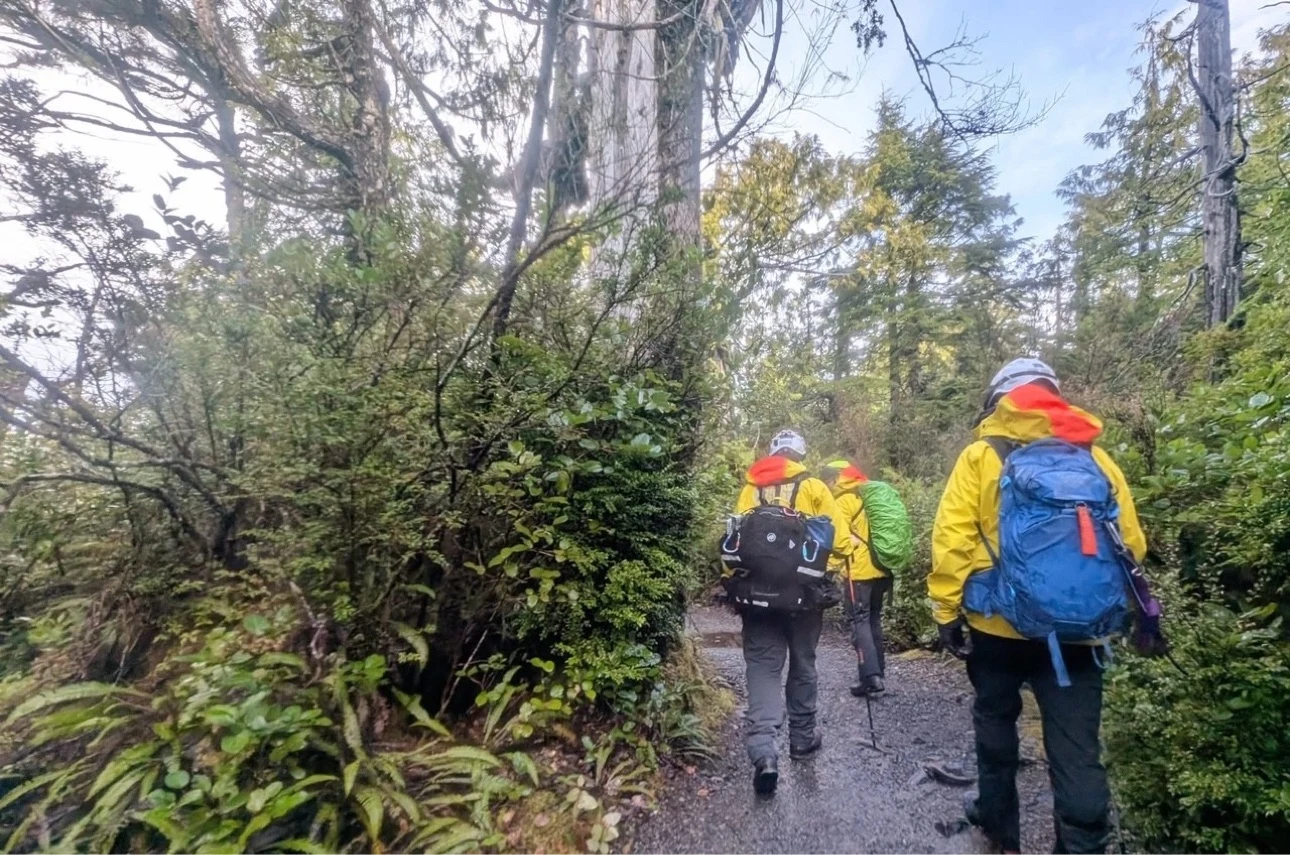 Nanaimo Search and Rescue volunteers walking a forest trail during a search, in a stock photo supplied by Nanaimo RCMP.