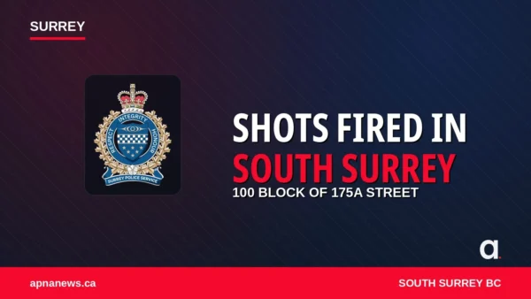 Designed graphic with SPS crest: shots fired incident, 100 block of 175A Street