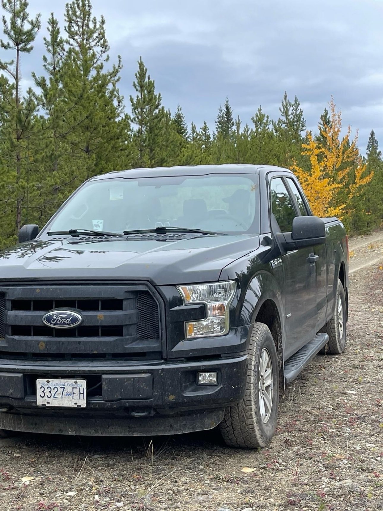 Black 2015 Ford F150 with B.C. licence plate 332 7FH